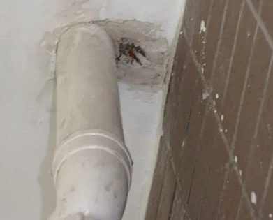 太康漏水检测哪家好